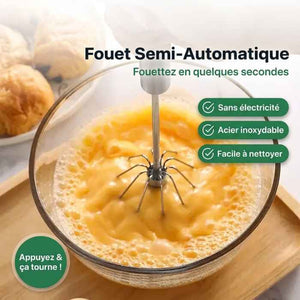 Mixeur à œufs